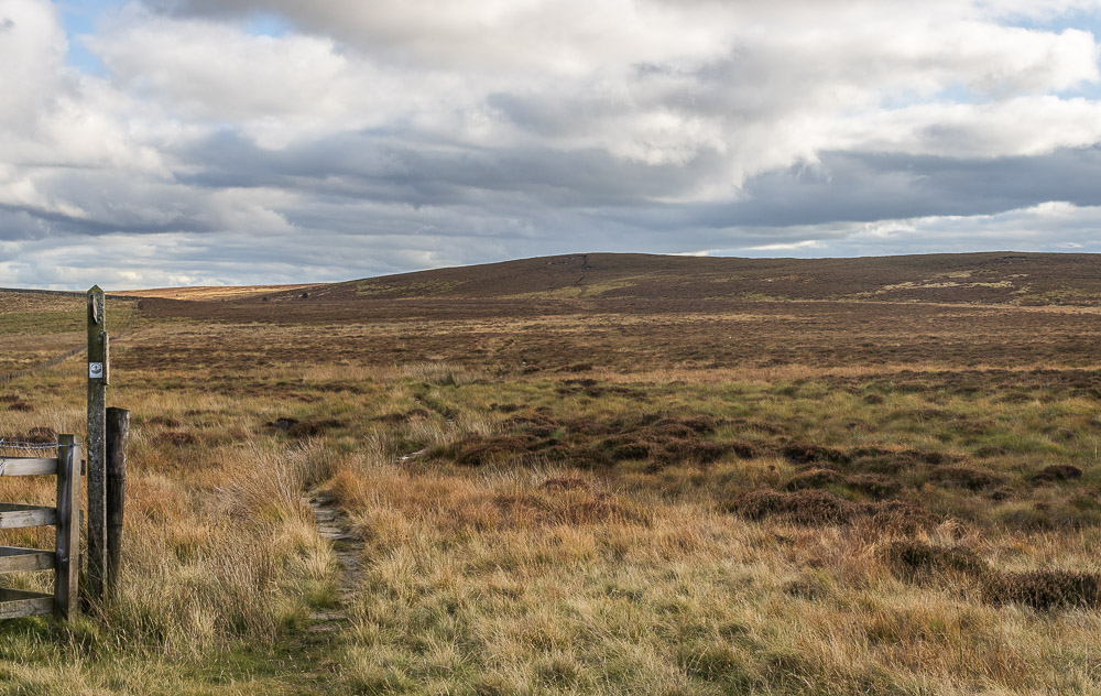 Whitley Pike Whitley Pike